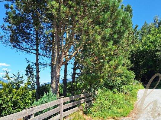 Petra Huber Immobilien TIROL