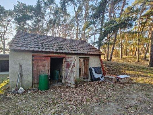 massives Nebengelass direkt am Wald