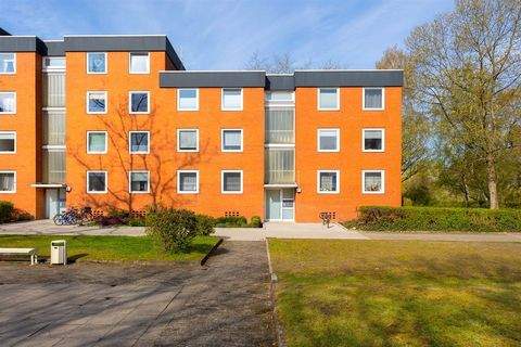 Uelzen Wohnungen, Uelzen Wohnung mieten