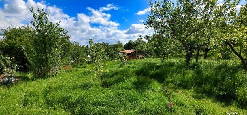 Traumhaft großes Grundstück