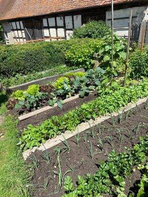 Gemüsegarten