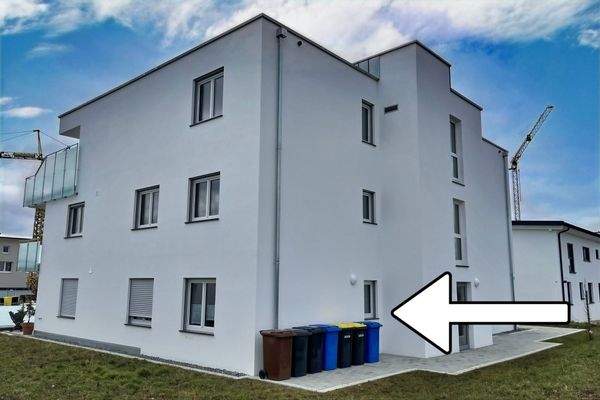 Seiten-/Hinteransicht