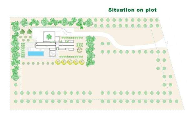 Situation on plot