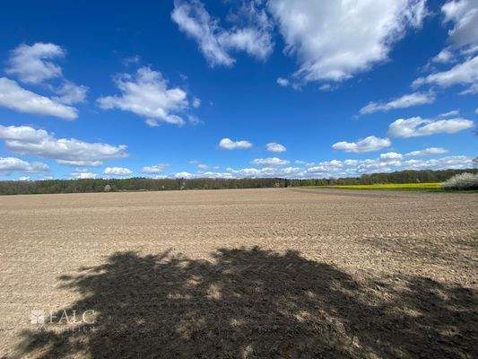 Blick vom Grundstück