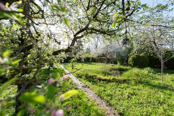 GROßER GARTEN