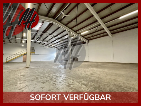 Hochheim Halle, Hochheim Hallenfläche