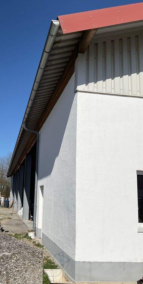 Merching Halle, Merching Hallenfläche