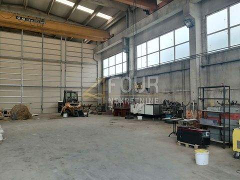 Vodnjan Halle, Vodnjan Hallenfläche