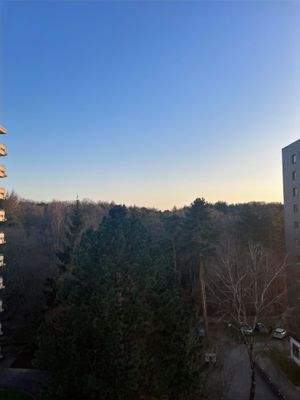 Ausblick Wohnzimmer/Balkon