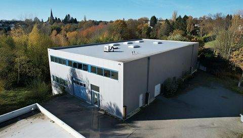 Neunkirchen-Seelscheid Halle, Neunkirchen-Seelscheid Hallenfläche