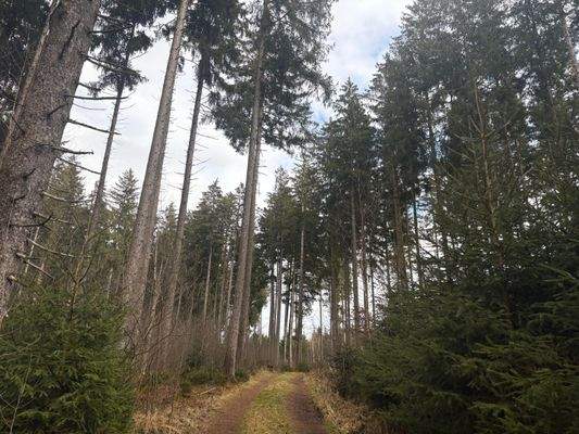 2026-02-12 13.54.33.jpg