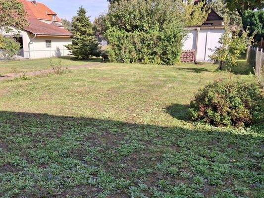 Bilder aus dem Sommer