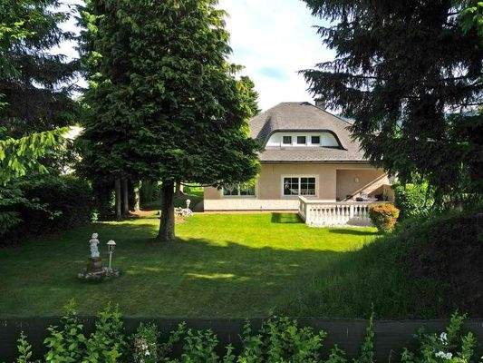 Der alte Baumbestand