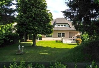 Der alte Baumbestand