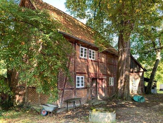 Backs Außenansicht Bild 2.jpg