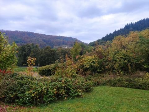 Badenweiler Grundstücke, Badenweiler Grundstück kaufen