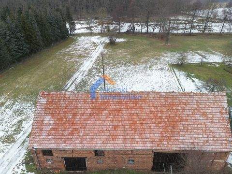 Kasel-Golzig Grundstücke, Kasel-Golzig Grundstück kaufen