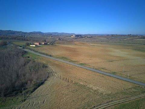 Montepulciano Bauernhöfe, Landwirtschaft, Montepulciano Forstwirtschaft