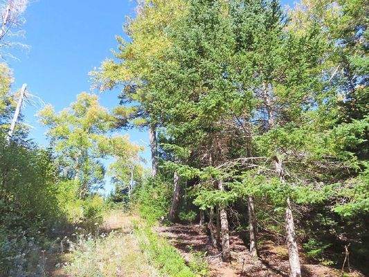 Cape Breton - Bras d`Or Lake - Tolles See-Ufergrun