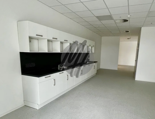 INFOS UNTER: 06171-586000