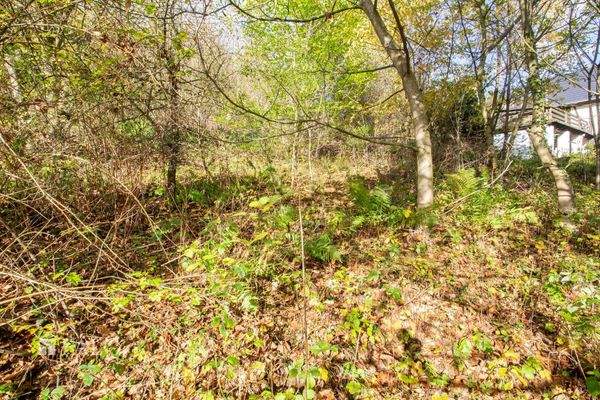 Blick ins Grundstück