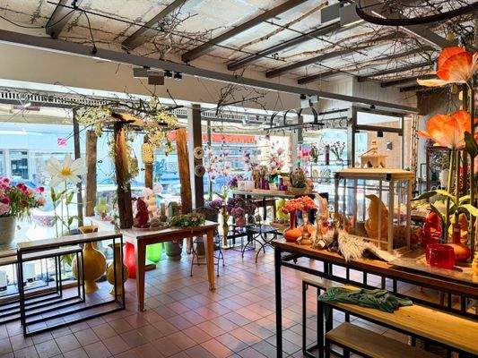 Blick zum Schaufenster