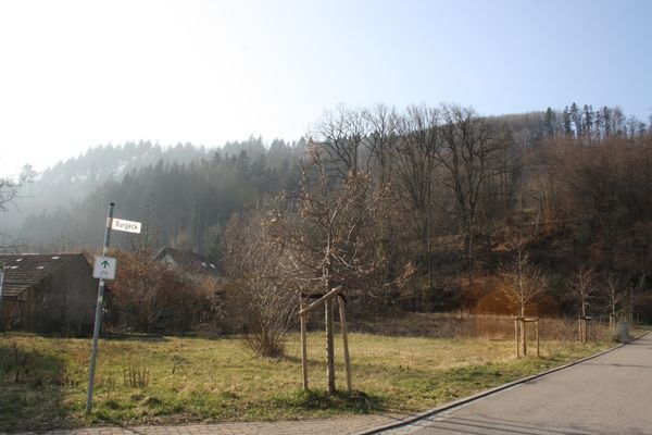 Süd- und Westansicht