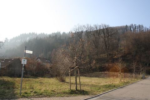 Hausen im Wiesental Grundstücke, Hausen im Wiesental Grundstück kaufen