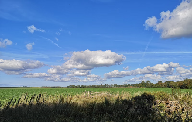 d8d8bf79-c0b7-4e8f-acf0-717205c6606e