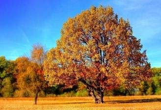 Herbst genießen
