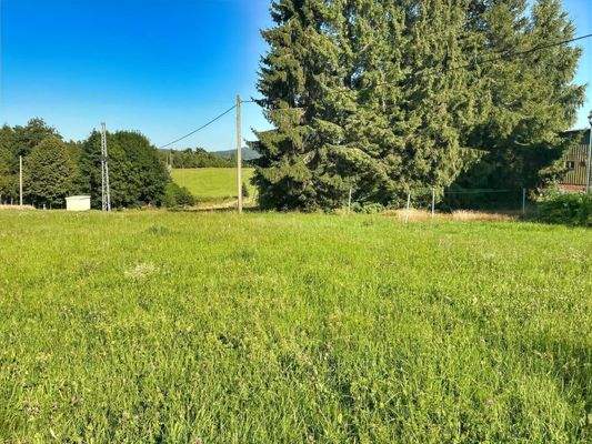 Inwieweit neben den Hof