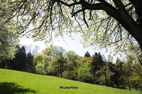 Bernau Bauernhöfe, Landwirtschaft, Bernau Forstwirtschaft