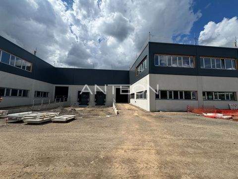 Düsseldorf Halle, Düsseldorf Hallenfläche