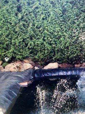 Beruhigungsbecken Teich