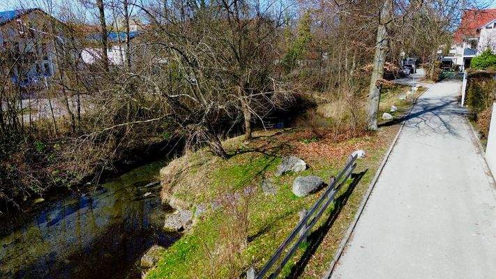 Anlage ( Hachinger Bach) 