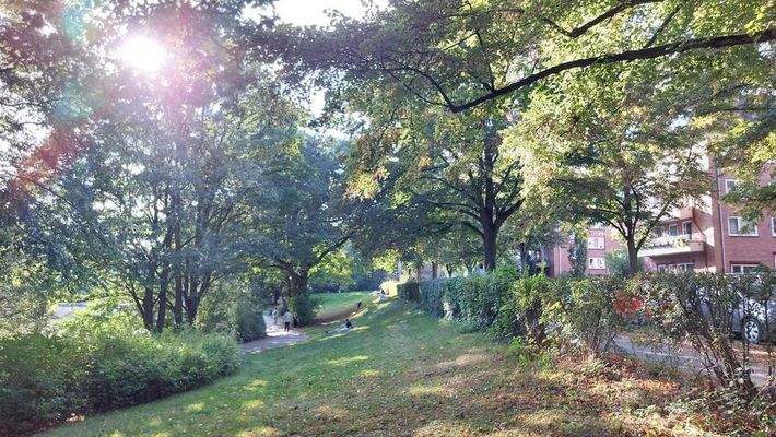 20-Umgebung - naechste 80 m 3