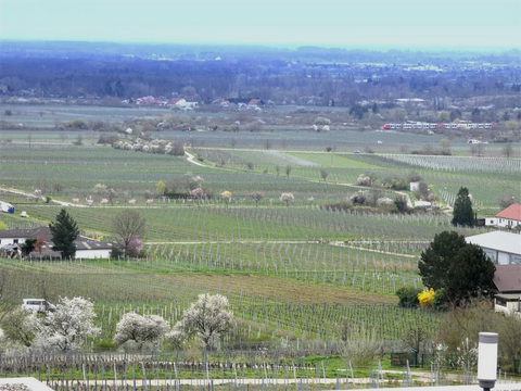 Neustadt Wohnungen, Neustadt Wohnung kaufen