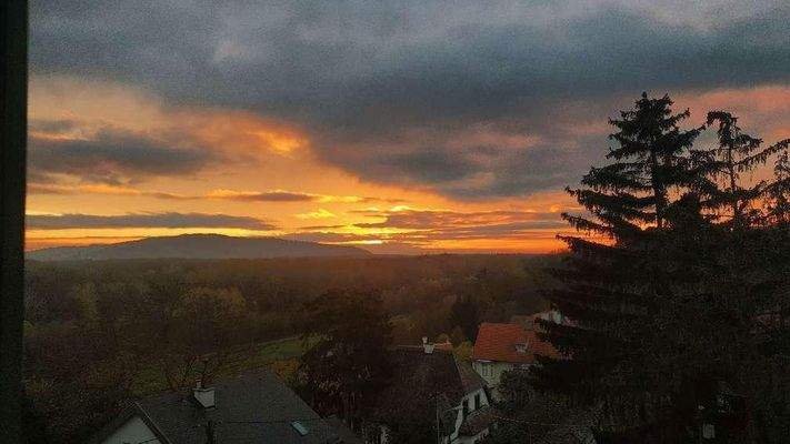 Ausblick Wohnzimmer (Früh)