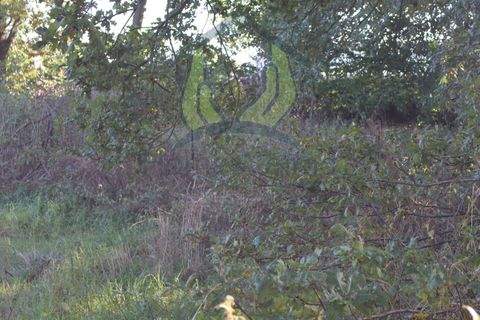 Barsbüttel / Willinghusen Bauernhöfe, Landwirtschaft, Barsbüttel / Willinghusen Forstwirtschaft