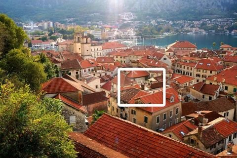 Kotor Häuser, Kotor Haus kaufen