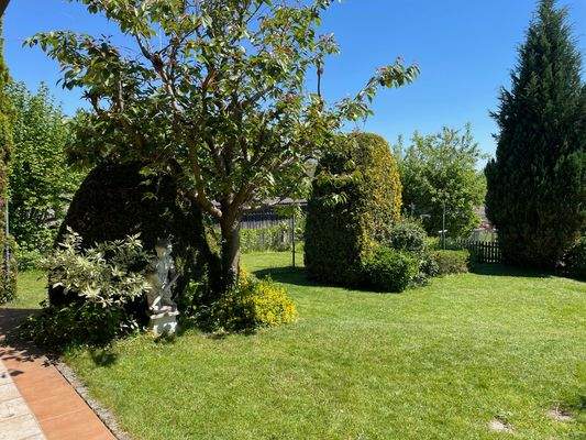 Blick in den Garten