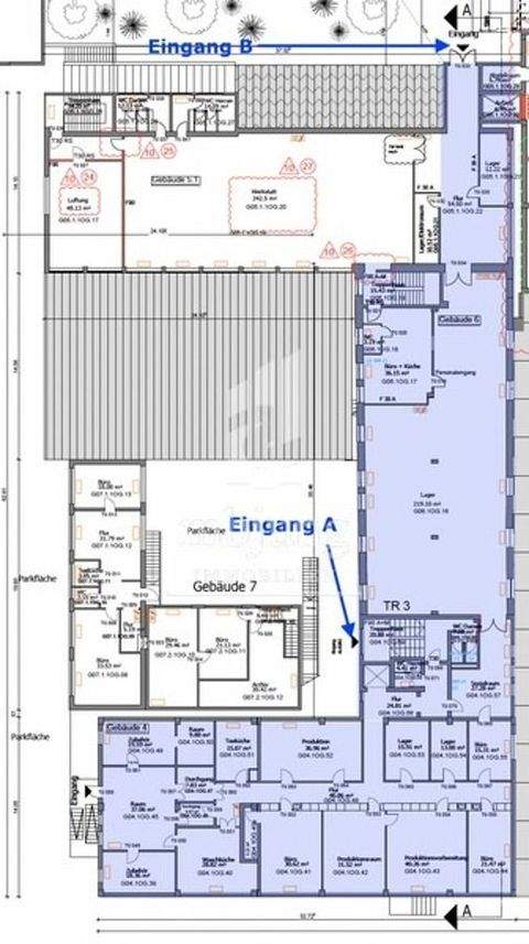 Homburg Halle, Homburg Hallenfläche
