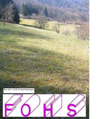 Flur 728/0=2.199 m² Bad Überk. FOTO 1