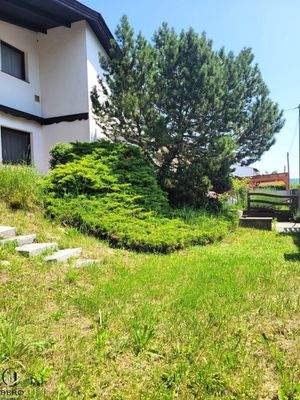 Garten in Richtung der Terrasse