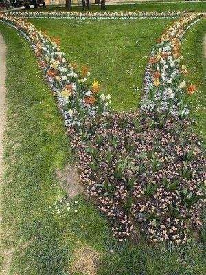 Nahe Umgebung - der Schlossgarten