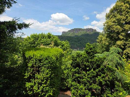 14 Gartenblick Lilienstein