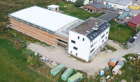 Borsdorf Halle, Borsdorf Hallenfläche