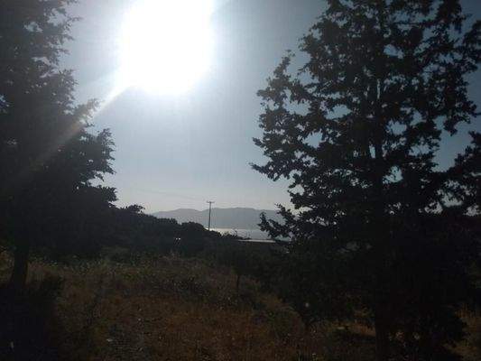 Zum Verkauf auf Kreta, Plakalona: Grundstück mit Meerblick und Olivenbäumen