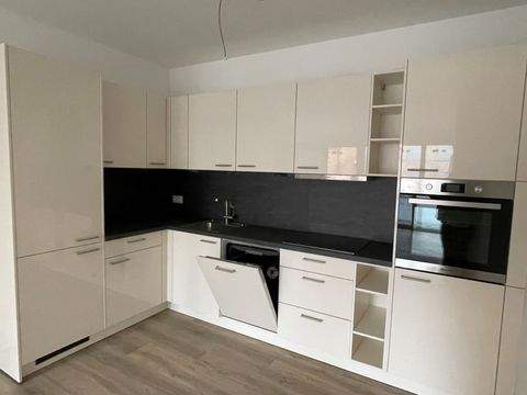 Neumünster Wohnungen, Neumünster Wohnung mieten