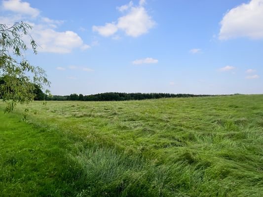 Herrlicher Weitblick